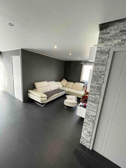 Grand Appartement Avec Vue Magnifique - Vercors - Une Experience Unique - Wifi Gratuit Grenoble Zewnętrze zdjęcie