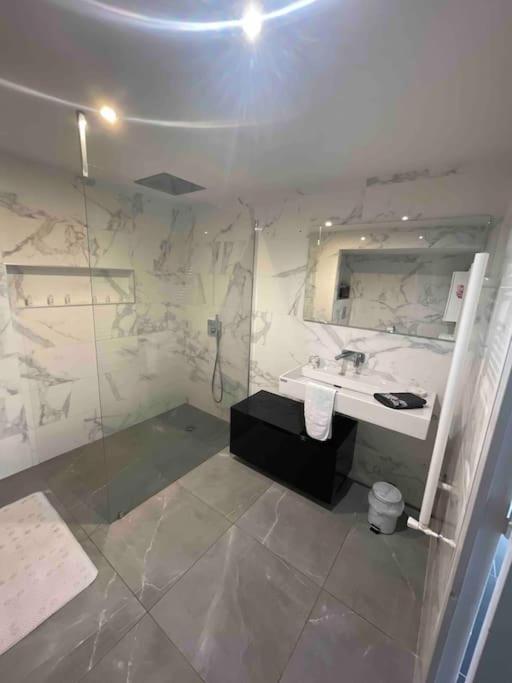 Grand Appartement Avec Vue Magnifique - Vercors - Une Experience Unique - Wifi Gratuit Grenoble Zewnętrze zdjęcie