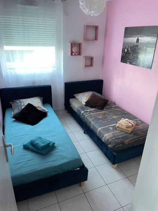 Grand Appartement Avec Vue Magnifique - Vercors - Une Experience Unique - Wifi Gratuit Grenoble Zewnętrze zdjęcie