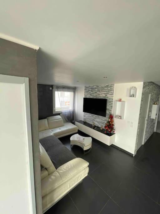 Grand Appartement Avec Vue Magnifique - Vercors - Une Experience Unique - Wifi Gratuit Grenoble Zewnętrze zdjęcie
